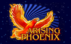 Arising Phoenix
