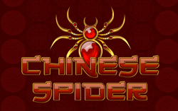 Chinese Spider