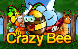Crazy Bee