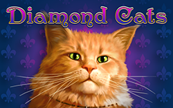 Diamond Cats