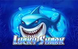 Lucky Shark