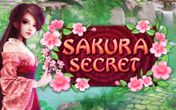 Sakura Secret