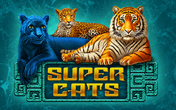 Super Cats