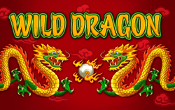Wild Dragon