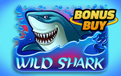 Wild Shark Bonus Buy