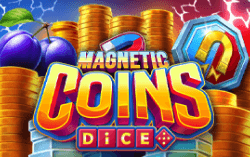 Magnetic Coins Dice
