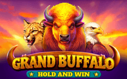 Grand Buffalo Hold and Win
