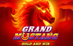 Grand Mustang