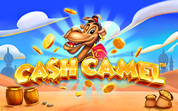 Cash Camel