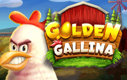 Golden Gallina
