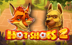 Hot Shots 2
