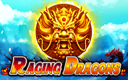 Raging Dragons