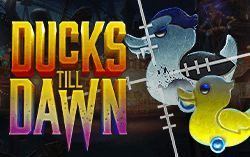 Ducks Till Dawn