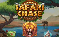Safari Chase