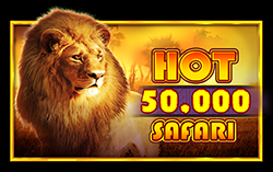 Hot Safari 50000