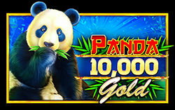 Panda Gold 10000