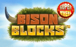 Bison Blocks