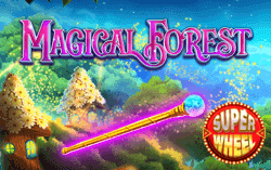 Magical Forest