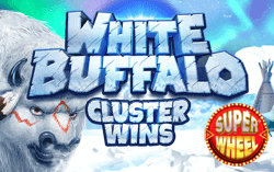 White Buffalo