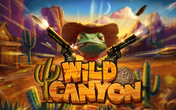 Wild Canyon