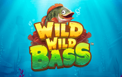 Wild Wild Bass