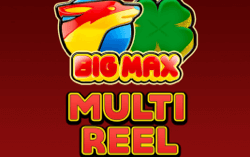 Big Max Multi Reel