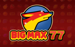 Big Max 77