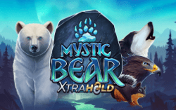Mystic Bear XtraHold