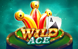 Wild Ace