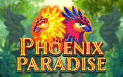 Phoenix Paradise