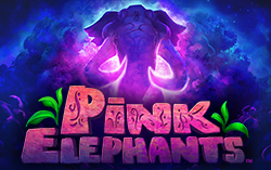 Pink Elephants