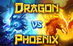 Dragon vs Phoenix